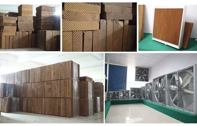 ˮ���L(f��ng)�C�S��