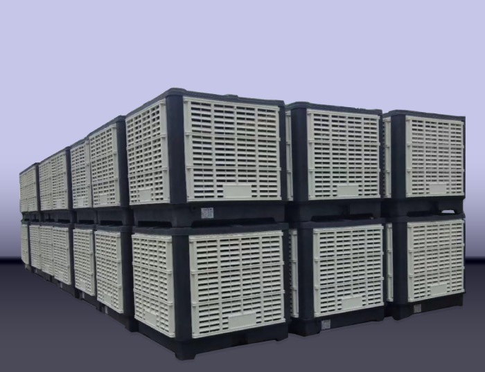 �V�����L�C